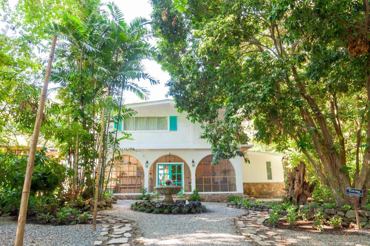 Angeli Gardens Boutique Hotel San Pedro Sula Exteriör bild