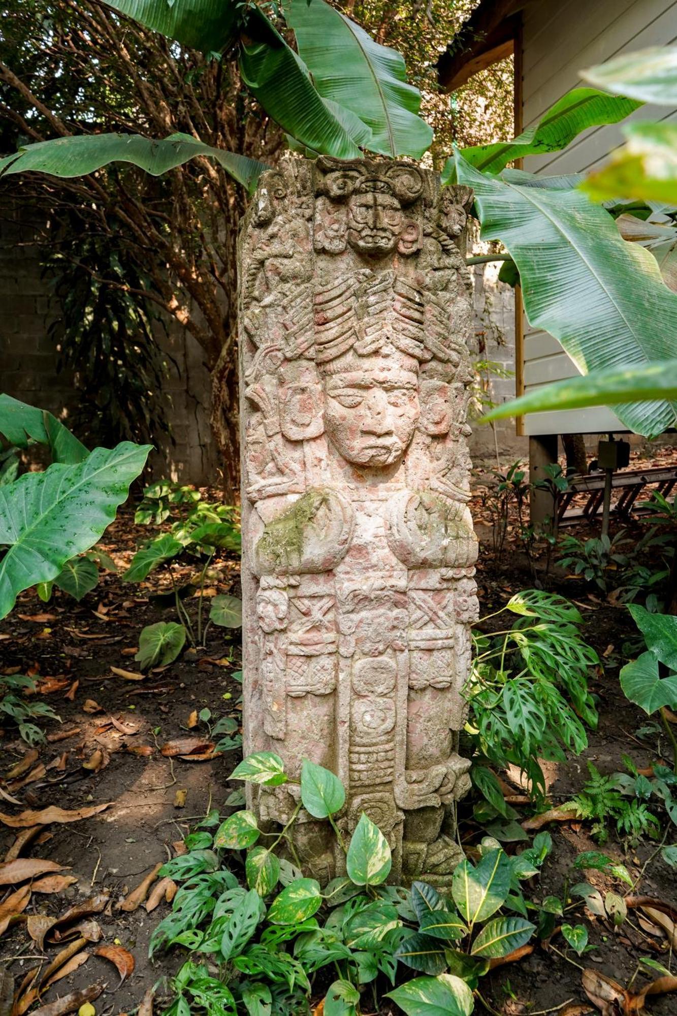 Angeli Gardens Boutique Hotel San Pedro Sula Exteriör bild